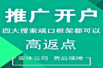 SEM广告优化案例：实战技巧解析